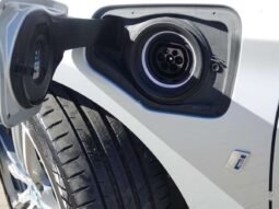 BMW 225 Active Tourer pilnas