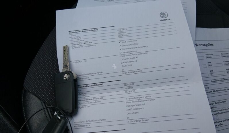 Skoda Octavia pilnas