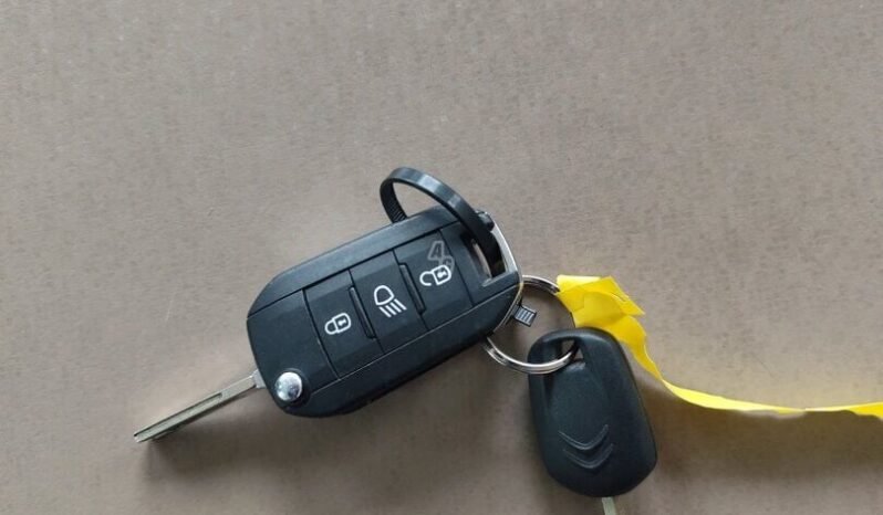 Citroen Berlingo pilnas