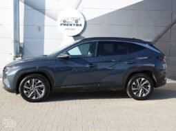Hyundai Tucson pilnas