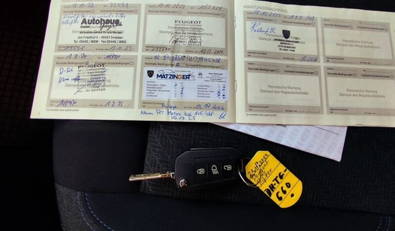 Peugeot Rifter pilnas