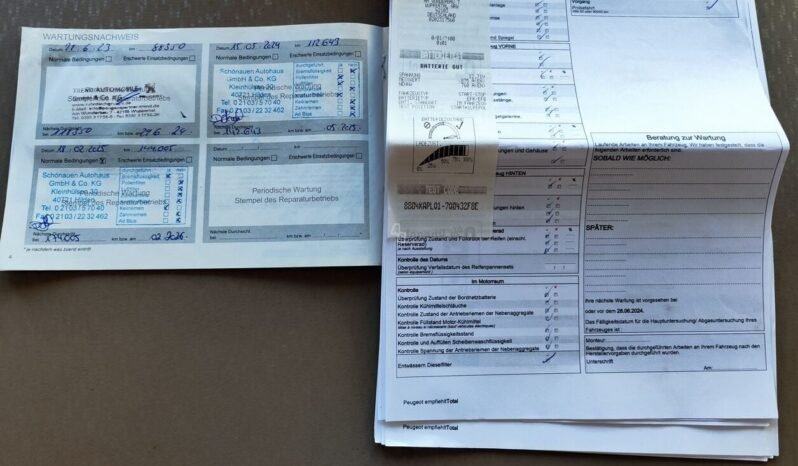 Peugeot Rifter pilnas