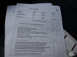 Skoda Octavia pilnas