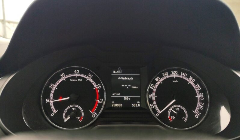 Skoda Octavia pilnas