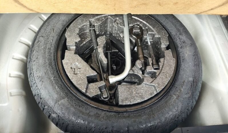 Skoda Octavia pilnas