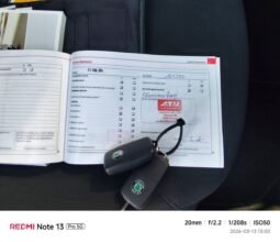 Skoda Octavia pilnas