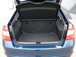 Skoda RAPID pilnas