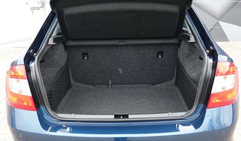 Skoda RAPID pilnas