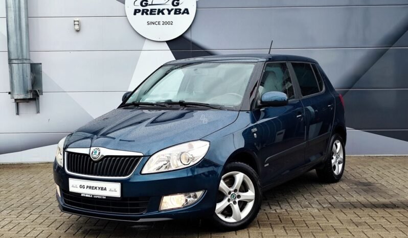 Skoda Fabia pilnas